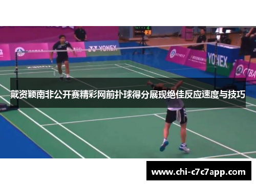 戴资颖南非公开赛精彩网前扑球得分展现绝佳反应速度与技巧 戴资颖南非公开赛精彩网前扑球得分展现绝佳反应速度与技巧