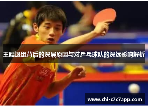 王皓退组背后的深层原因与对乒乓球队的深远影响解析 王皓退组背后的深层原因与对乒乓球队的深远影响解析