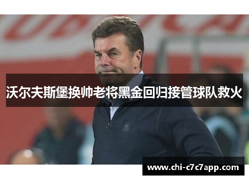 沃尔夫斯堡换帅老将黑金回归接管球队救火