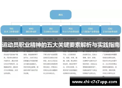 运动员职业精神的五大关键要素解析与实践指南